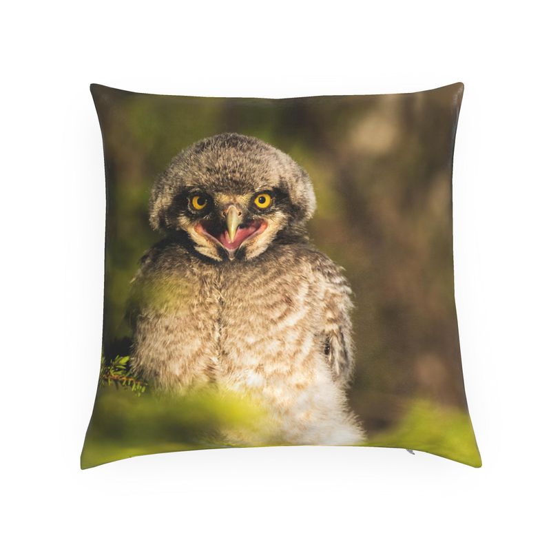 Young Hawk Owl Chick Cushion