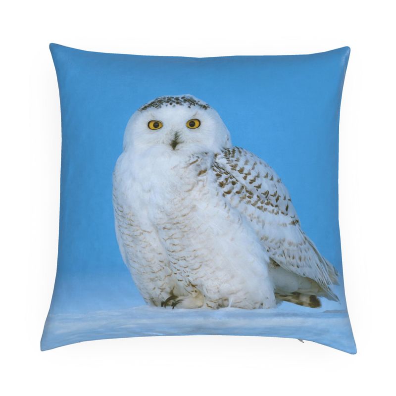Snowy Owl Cushion