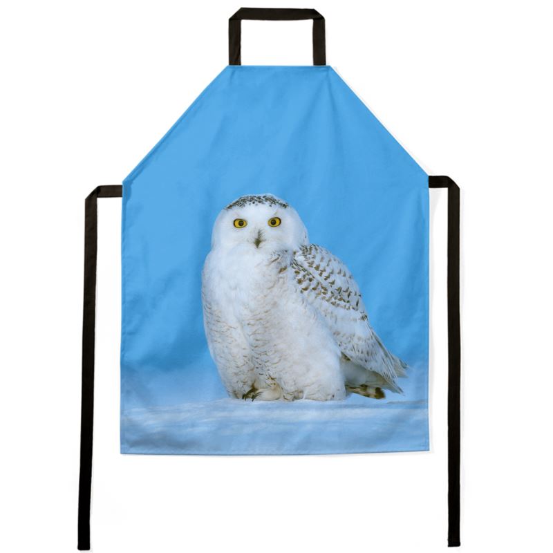 Snowy Owl Apron