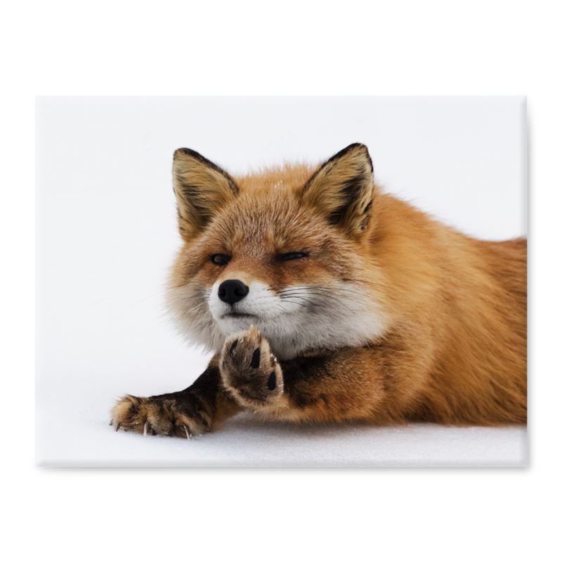 Stretching Red Fox Cutting Board