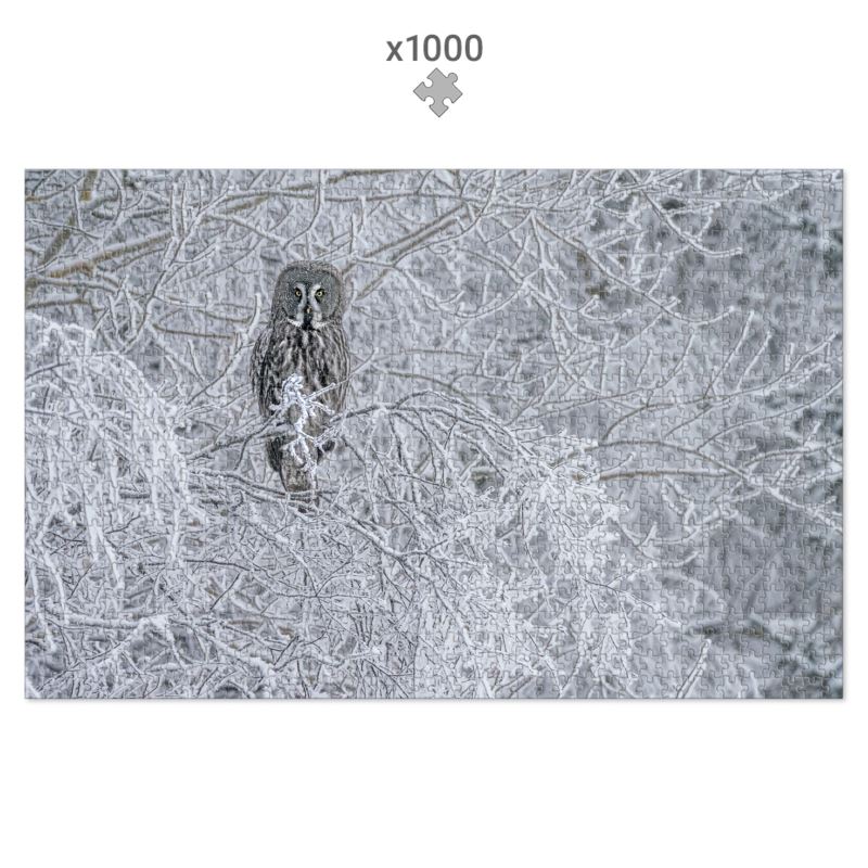 Frosty Great Grey Owl - Jigsaw puzzle (500 -1000 piece)