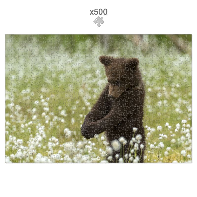 Brown Bear Ballerina Jigsaw Puzzle (500 - 1000 piece)