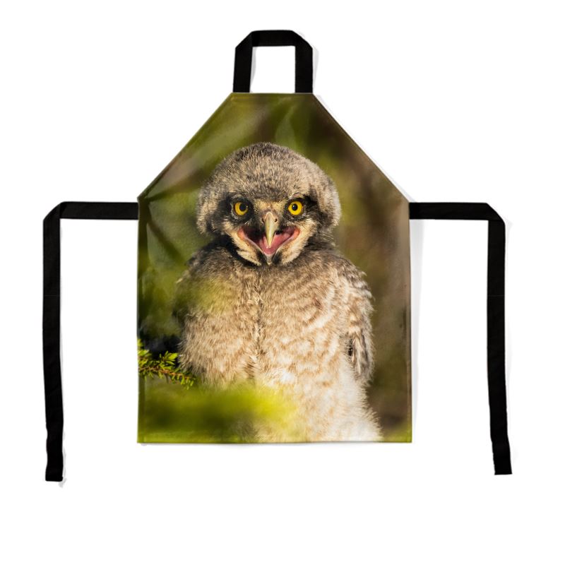 Young Hawk Owl Chick Apron