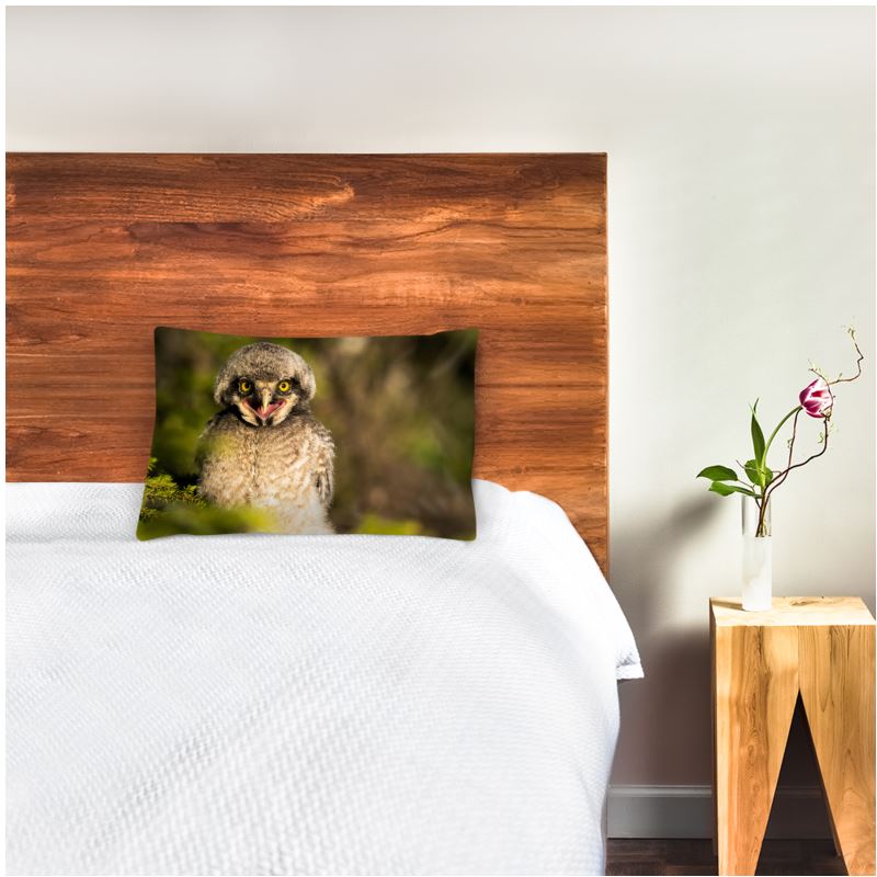 Young Hawk Owl Chick Pillow Case