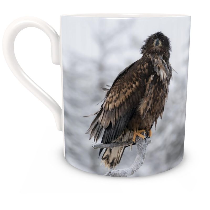 White-tailed Eagle in Winter Bone China Mug